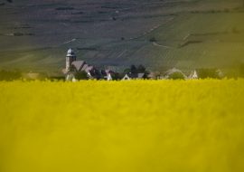Bergholtz