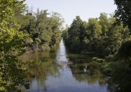 Vieux Canal d'Alsace