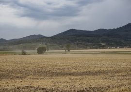 Plaine d'Alsace Wattwiller