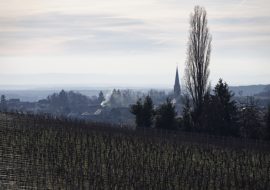 Wuenheim