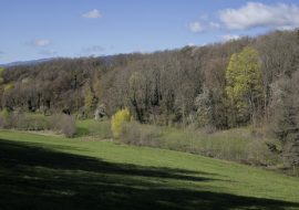 Vallée Noble