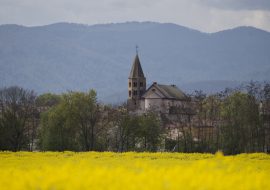Gundolsheim